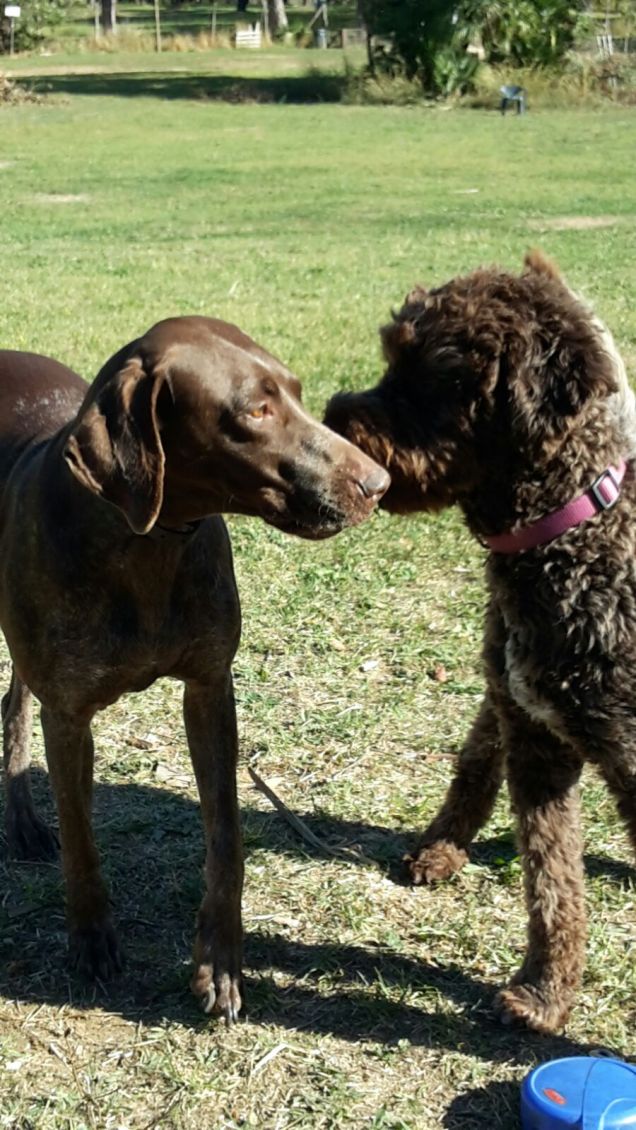 Giochiamo al parco...