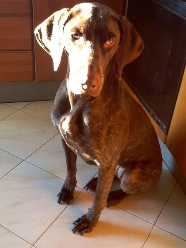 Serietà assoluta...