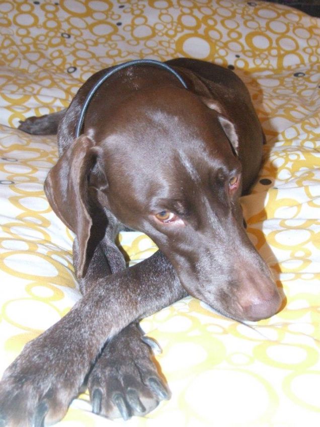 Con signorilità..sul lettone.