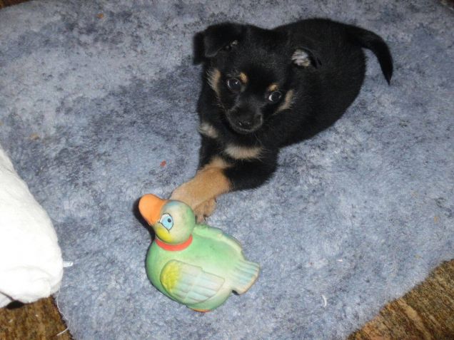 il mio bimbo a due mesi