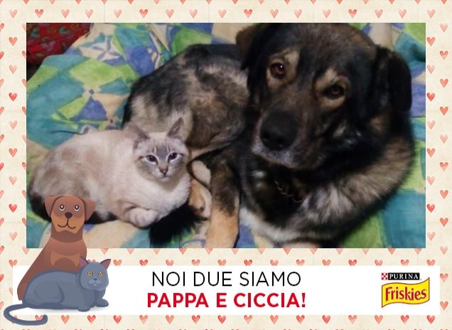 noi siamo sempre vicini!