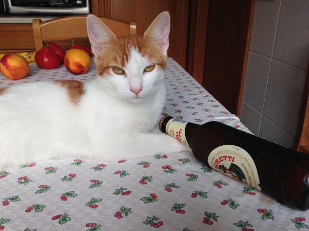 ubriacarsi non aiuta