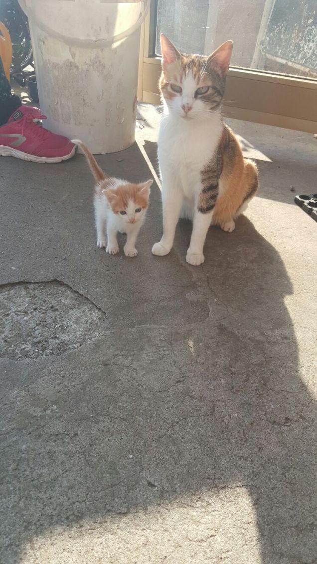 quanto si è belli da piccoli