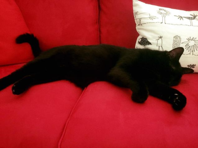 Anche oggi mi sveglio domani