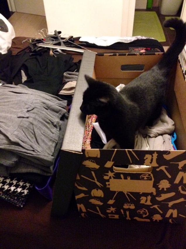 Non vorrai davvero andare via?