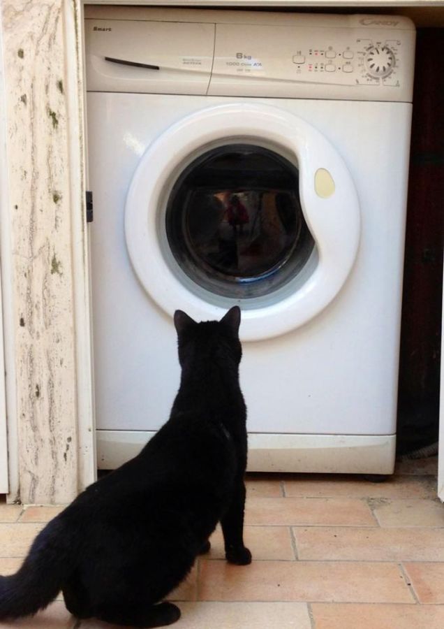 Cosa sarebbe una lavatrice?