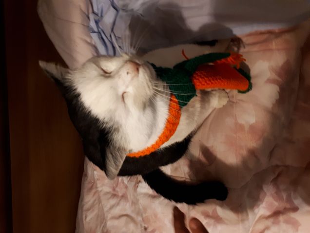 E a lui piace tanto la sciarpina :)