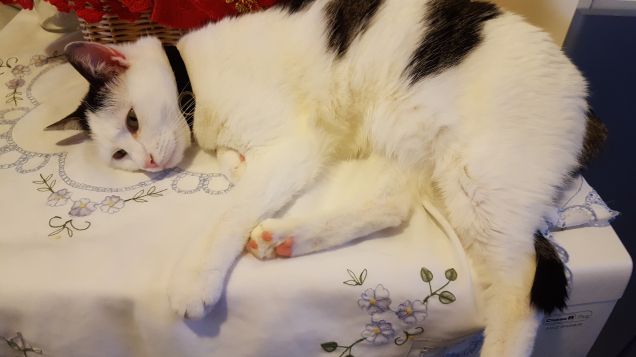 Svenuta sull'asciugatrice!