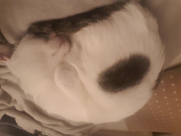 E buonanotte a tutti