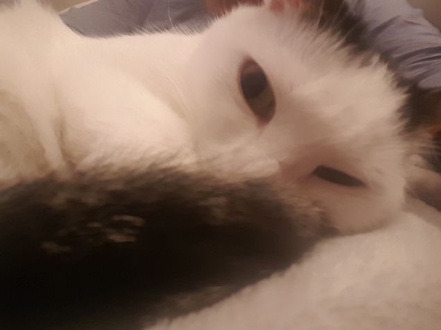 Ti ho detto smettila!