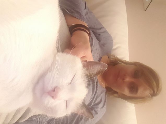 Ok, stavolta buonanotte...