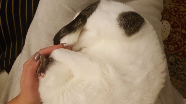 Mami spegni la luce!