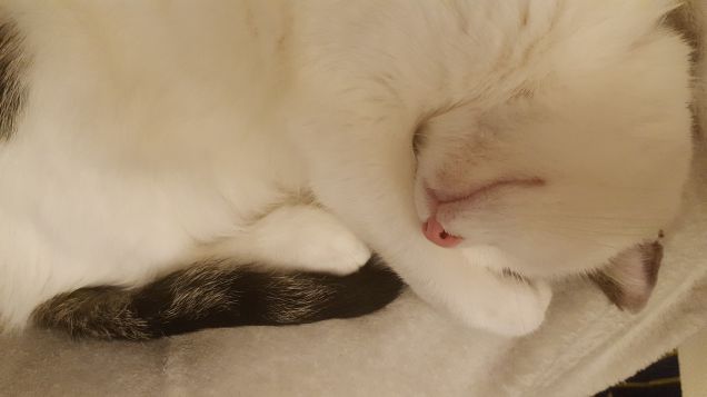 La bellezza e la pace