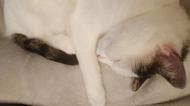 Mami io ti abbraccio