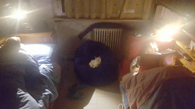 Io leggo con i miei fratelli