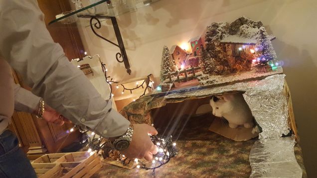 Proviamo sta capanna va!