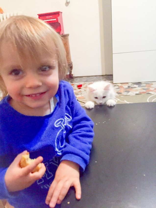 Margot cerca di rubare la brioche