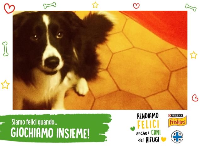 giocare con il pallocino!!!