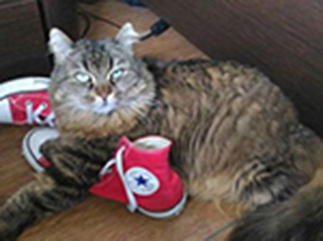 il miglior posto per fare la nanna....