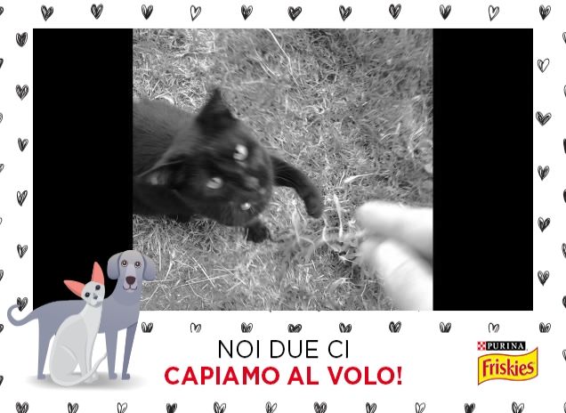 che bella la nostra storia!