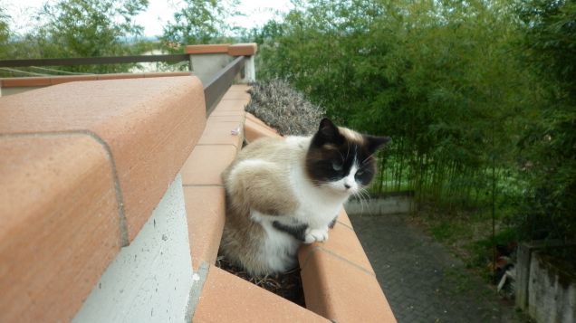 Marianna nel suo vaso preferito