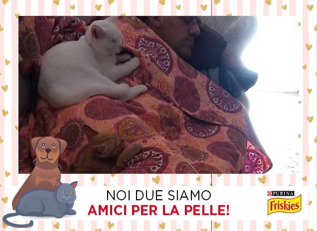 Il quartetto perfetto