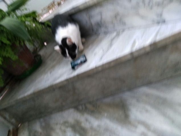 la furbetta che crede di non essere vista