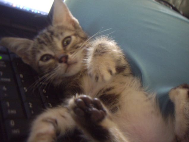 si mi piace il tuo piede