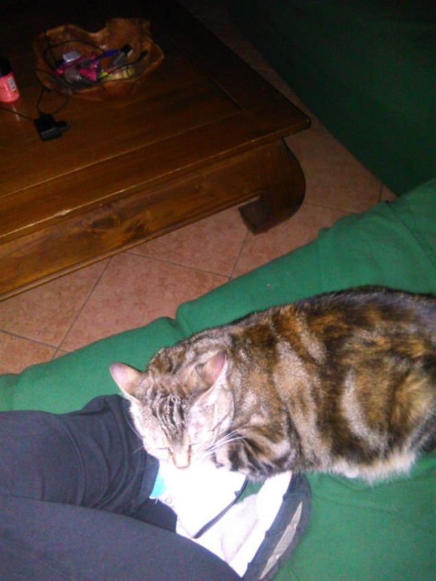 la mia scarpa è un perfetto cuscino