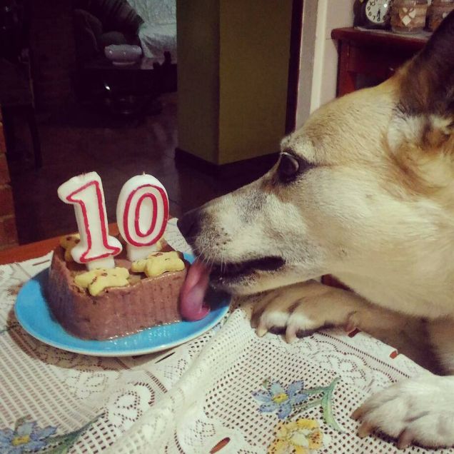 I MIEI PRIMI 10 ANNI