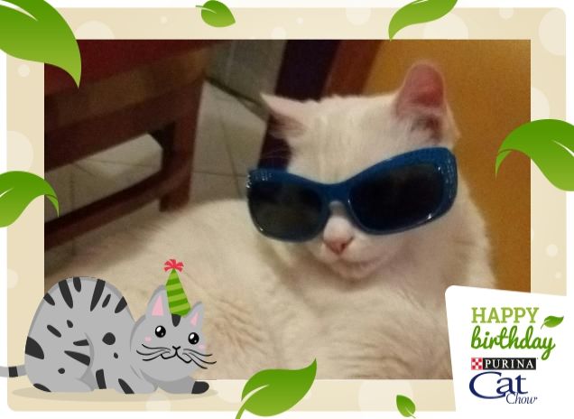 Crystal il biricchino