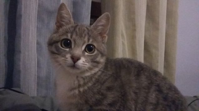 vuoi dormire? hahahah