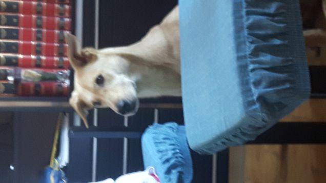 JACK A CASA DEI NONNI