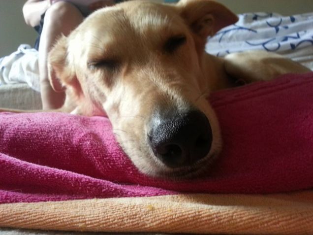 jack sul letto di Sara