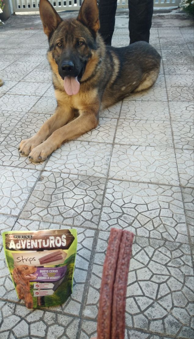 Purina adventuros grazieeee... Pausa passeggiata con gli strips