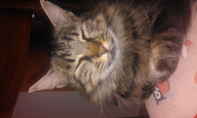 pisolino pomeridiano