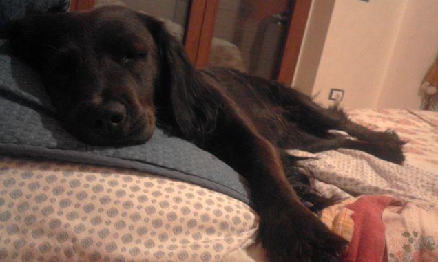 Cherie dorme nel mio letto