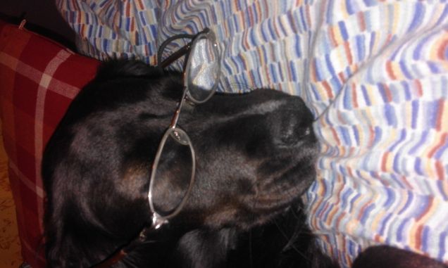 Cherie con gli occhiali 