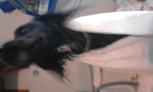 abbiamo fatto un bel bagno