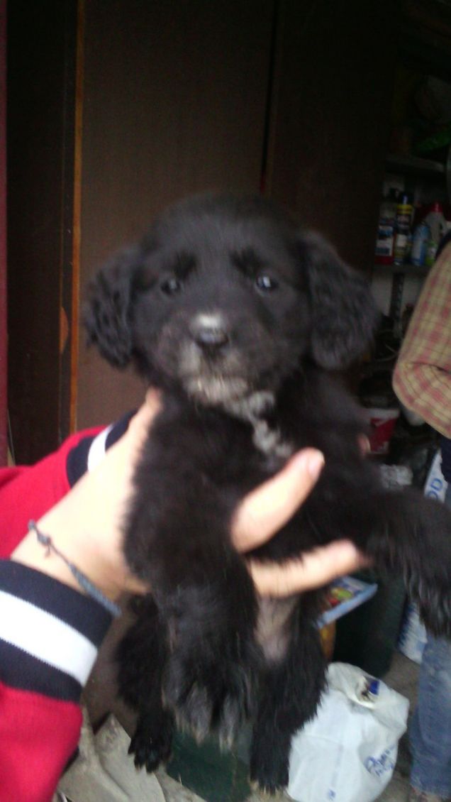 il nostro primo incontro