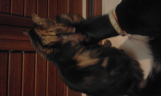 è l'ora dell' uscita 