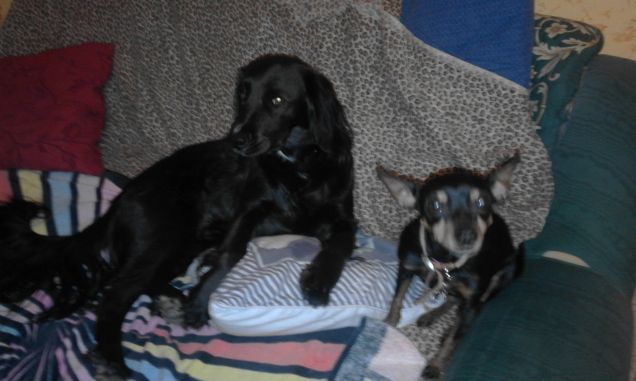 sarà ora di andare a letto?