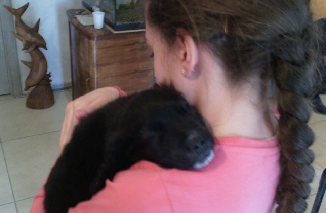 Chi non ha avuto un cane non sa cosa significhi essere amato...