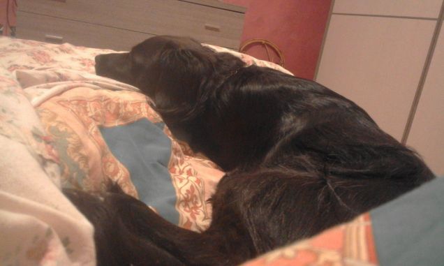 buongiorno così ...