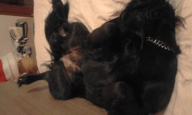 sparapanzata sul letto