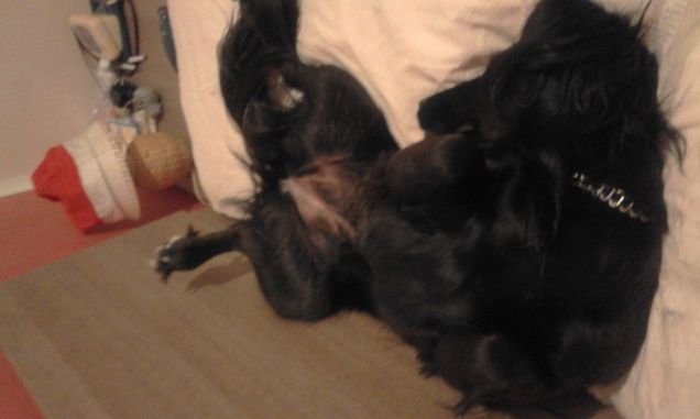 il letto è quasi tutto per lei