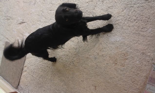 Cherie  fa ginnastica