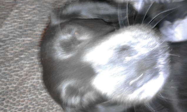 si è fatta un selfie