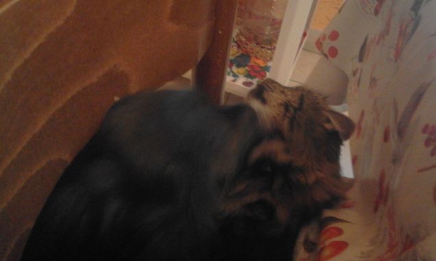 yumi e Cherie che giocano