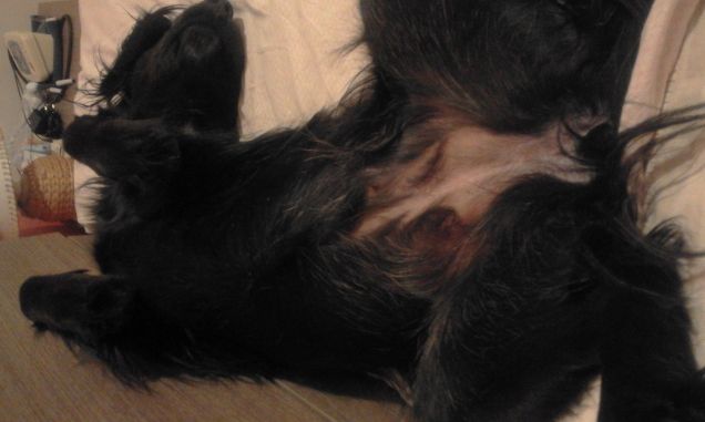 più della metà del letto è la sua